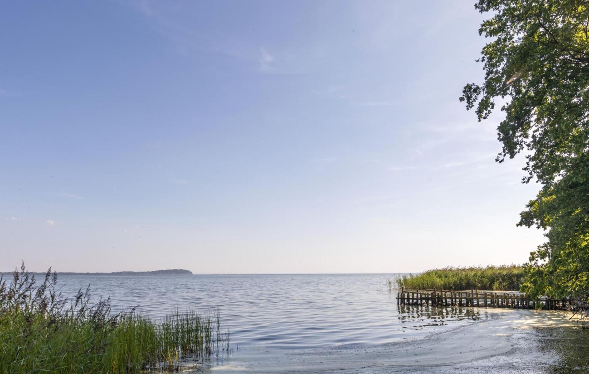 Ferienwohnung Hafenglueck, Villa Vilmblick Lauterbach  Exteriör bild